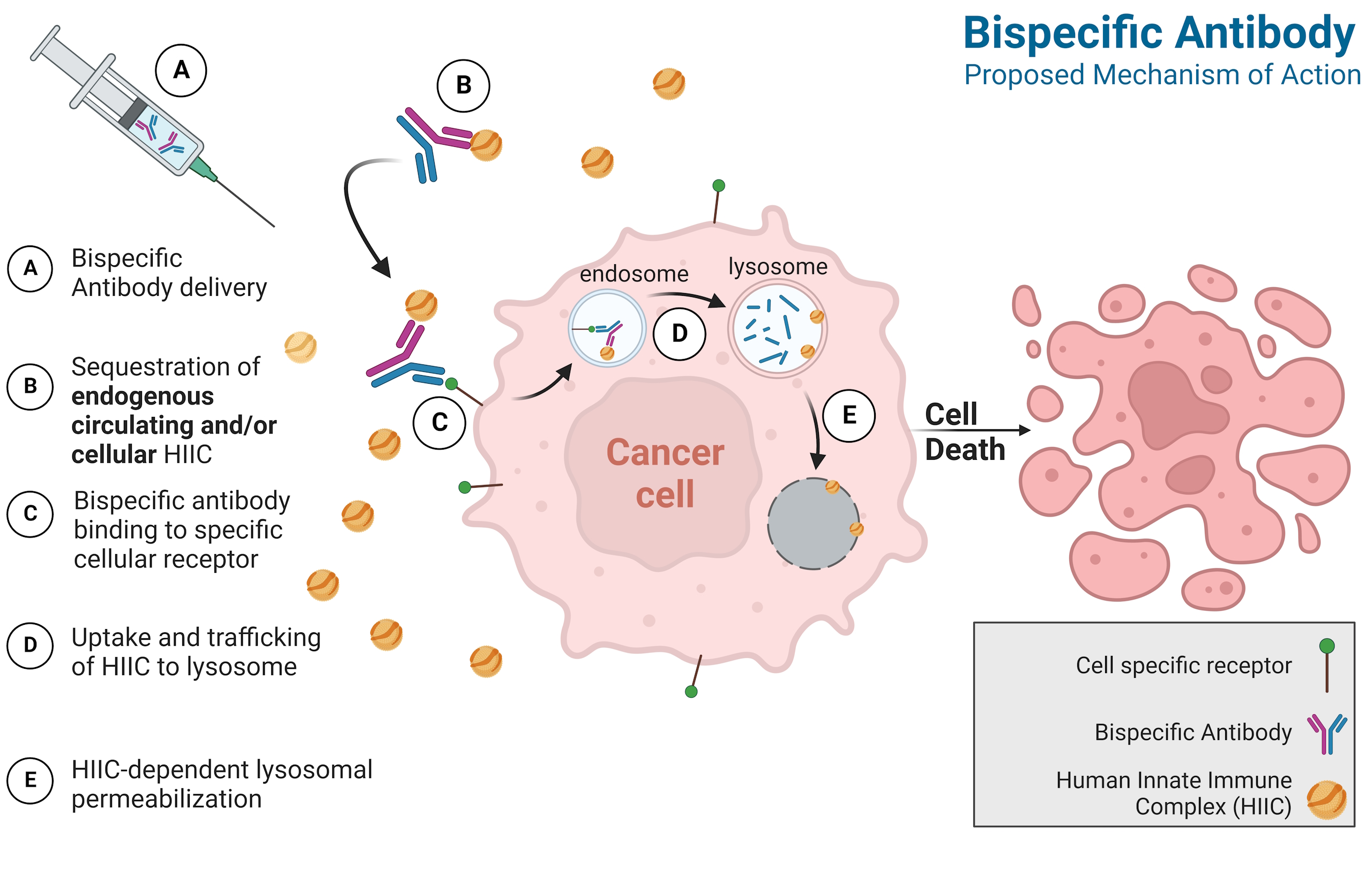 Illustration of ANN platform delivering ApoL1